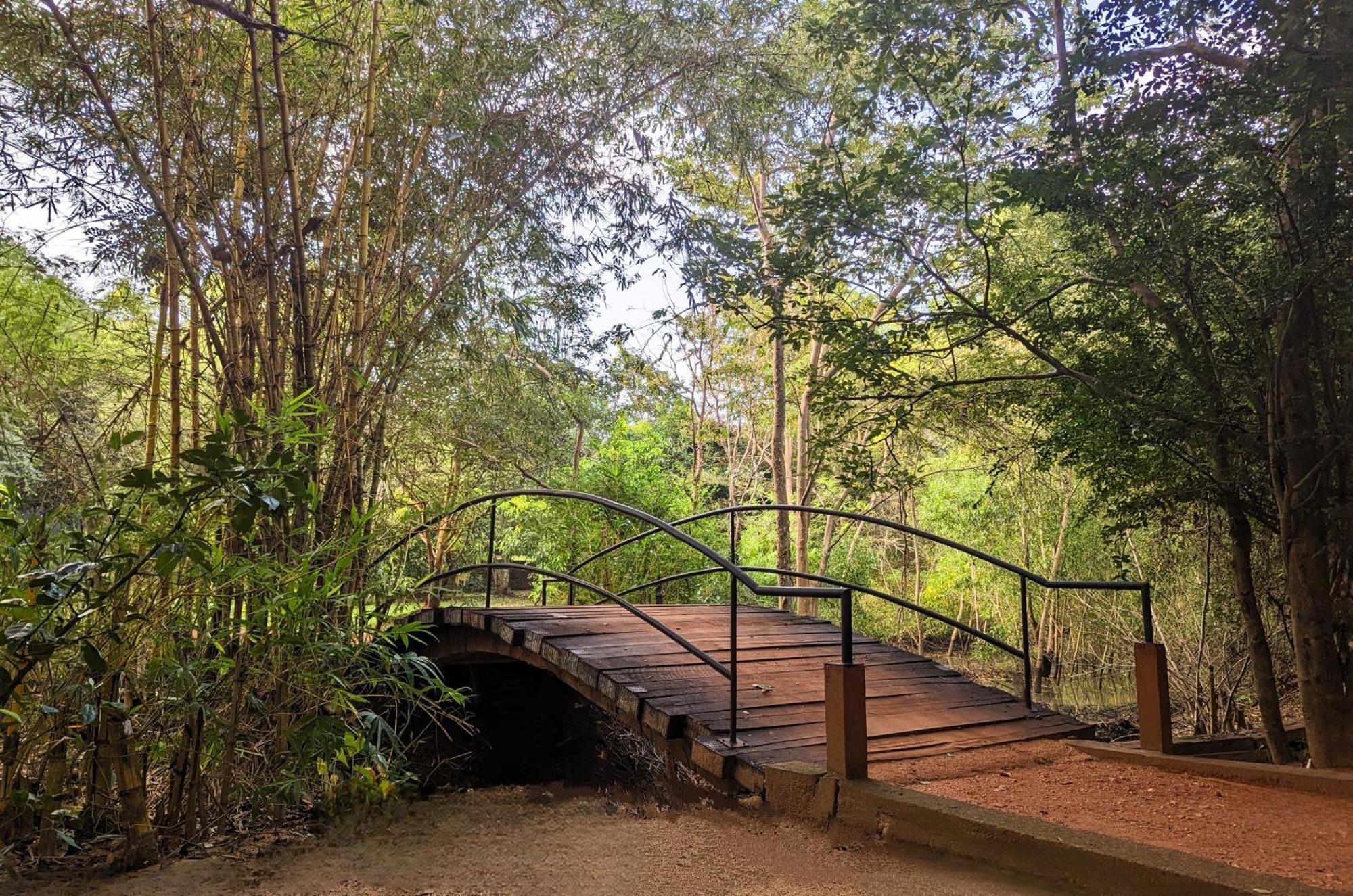 Pinthaliya Resort Sigiriya Exteriör bild