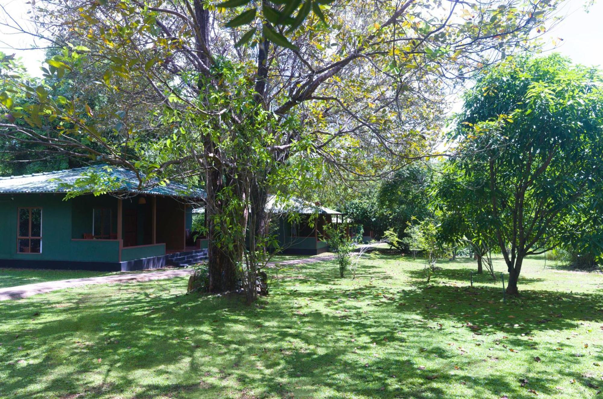 Pinthaliya Resort Sigiriya Exteriör bild