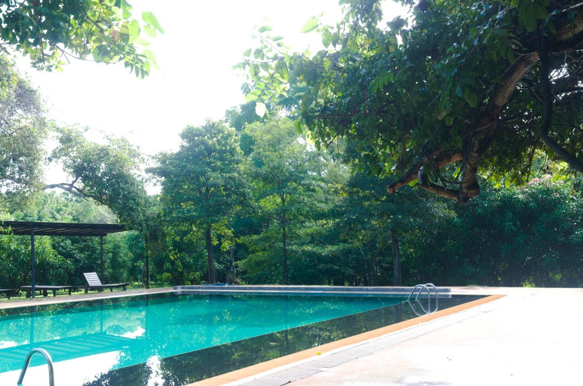 Pinthaliya Resort Sigiriya Exteriör bild