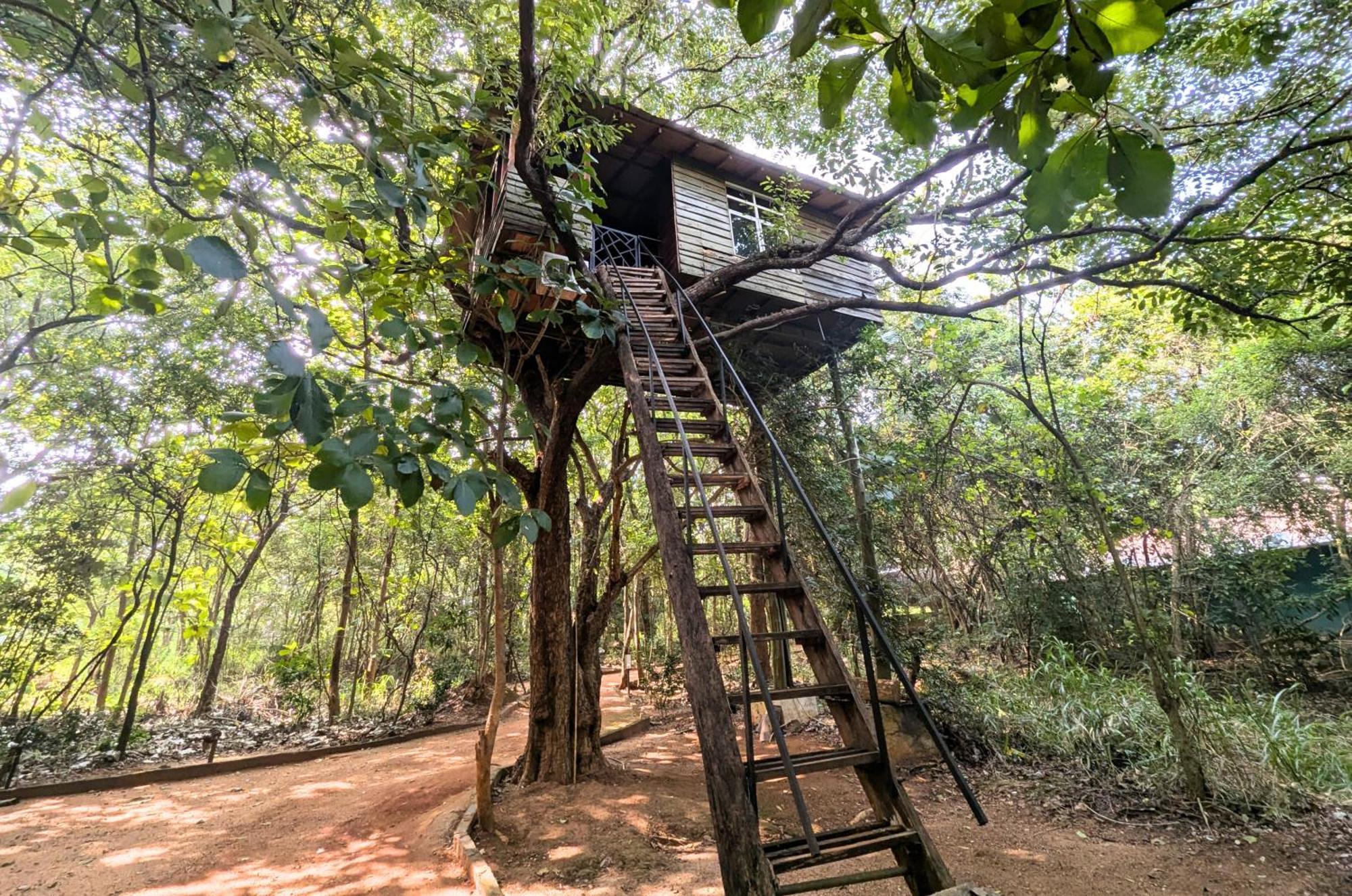 Pinthaliya Resort Sigiriya Exteriör bild